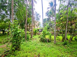 Commercial Land for Sale in Alleppey, Kayamkulam, Kattanam, Thazhava Mukku Junction
