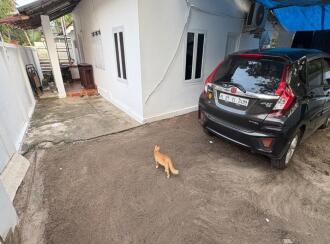Residential House Villa for Sale in Ernakulam, Kumbalangi, Kumbalangi, 5/273 Kadhiya Veedu, Kumbhulangi, Rajiv gandhi road, Poopanakunnu