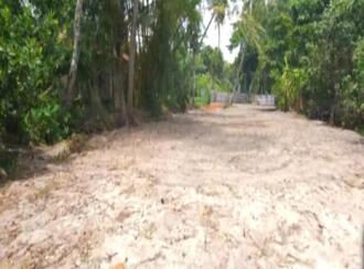 Residential Land for Sale in Alleppey, Mararikulam, Mararikulam