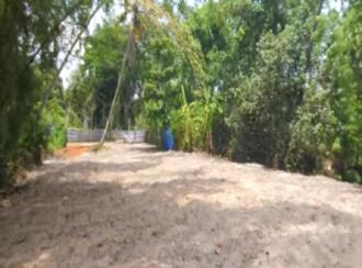 Residential Land for Sale in Alleppey, Mararikulam, Mararikulam