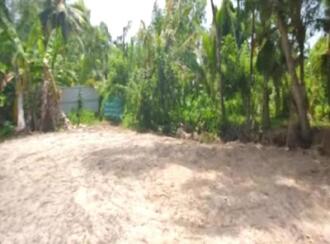 Residential Land for Sale in Alleppey, Mararikulam, Mararikulam
