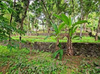Residential House Villa for Sale in Pathanamthitta, Elavumthitta, Kuzhikala, CMS High School