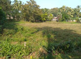 Residential Land for Sale in Palakkad, Alathur, Kuzhalmannam, Kuttankodu to nechur road