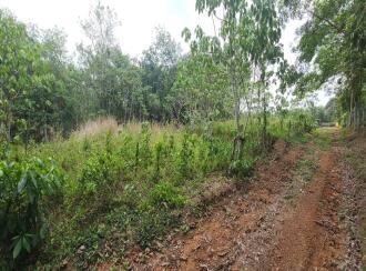 Residential Land for Sale in Kottayam, Kottayam town, Kanam, Palamattam Road