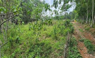 Residential Land for Sale in Kottayam, Kottayam town, Kanam, Palamattam Road