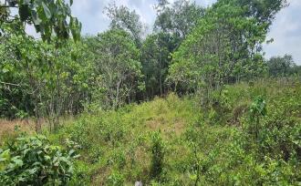 Residential Land for Sale in Kottayam, Kottayam town, Kanam, Palamattam Road