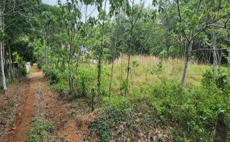 Residential Land for Sale in Kottayam, Kottayam town, Kanam, Palamattam Road