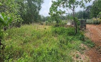 Residential Land for Sale in Kottayam, Kottayam town, Kanam, Palamattam Road