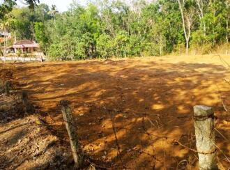 Residential Land for Sale in Kottayam, Kottayam town, Kanam, Palamattam Road