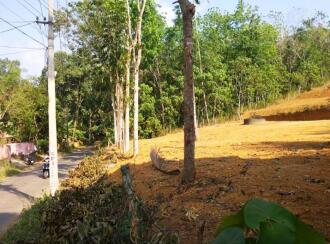 Residential Land for Sale in Kottayam, Kottayam town, Kanam, Palamattam Road