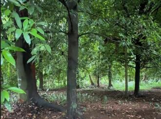 Residential Land for Sale in Thrissur, Kodakara, Vasupuram