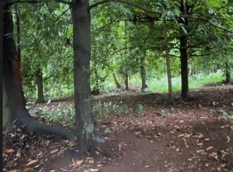 Residential Land for Sale in Thrissur, Kodakara, Vasupuram