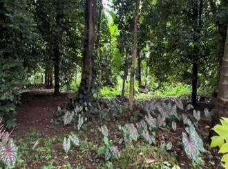 Residential Land for Sale in Thrissur, Kodakara, Vasupuram
