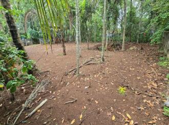 Residential Land for Sale in Palakkad, Palakkad, Palakkad town, Pattambi