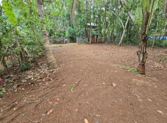 Residential Land for Sale in Palakkad, Palakkad, Palakkad town, Pattambi