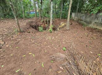 Residential Land for Sale in Palakkad, Palakkad, Palakkad town, Pattambi
