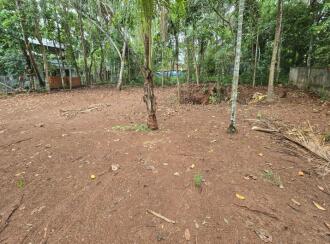 Residential Land for Sale in Palakkad, Palakkad, Palakkad town, Pattambi