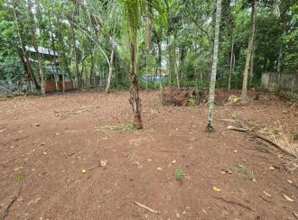 Residential Land for Sale in Palakkad, Palakkad, Palakkad town, Pattambi