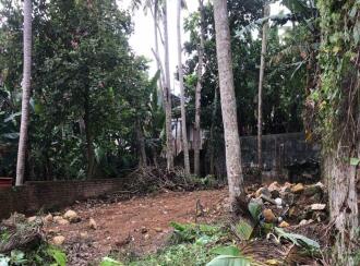 Residential Land for Sale in Trivandrum, Thiruvananthapuram, Nalanchira