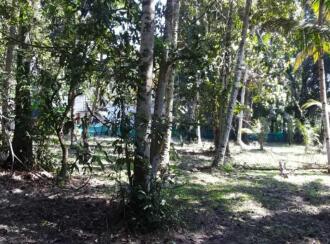Residential House Villa for Sale in Alleppey, Mavelikara, Chettikulangara