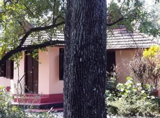 Residential House Villa for Sale in Alleppey, Mavelikara, Chettikulangara