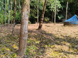 Residential Land for Sale in Kannur, Anjarakandi, Anjarakandi, Pathiriyad