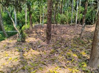 Residential Land for Sale in Kannur, Anjarakandi, Anjarakandi, Pathiriyad