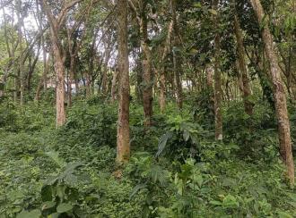 Residential Land for Sale in Trivandrum, Malayinkeezhu, Malayinkeezhu, kalluvarambu
