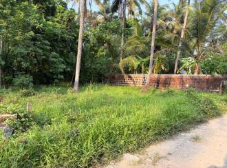 Residential Land for Sale in Kozhikode, Beypore, North Beypore, Cheerpalam