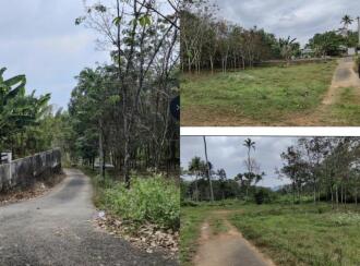 Residential Land for Sale in Kottayam, Pallickathodu, Pallickathodu, Anickadu