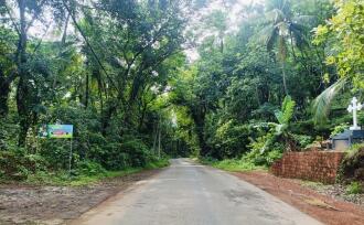 Agricultural Land for Sale in Kannur, Nedumpoil, Vekkalam, https://maps.app.goo.gl/74KTi1REy1AdJccX6
