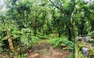 Agricultural Land for Sale in Kannur, Nedumpoil, Vekkalam, https://maps.app.goo.gl/74KTi1REy1AdJccX6