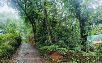 Agricultural Land for Sale in Kannur, Nedumpoil, Vekkalam, https://maps.app.goo.gl/74KTi1REy1AdJccX6