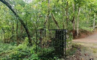 Agricultural Land for Sale in Kannur, Nedumpoil, Vekkalam, https://maps.app.goo.gl/74KTi1REy1AdJccX6