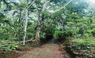 Agricultural Land for Sale in Kannur, Nedumpoil, Vekkalam, https://maps.app.goo.gl/74KTi1REy1AdJccX6