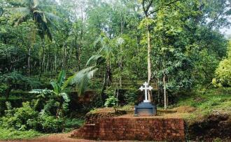 Agricultural Land for Sale in Kannur, Nedumpoil, Vekkalam, https://maps.app.goo.gl/74KTi1REy1AdJccX6