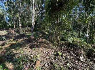 Residential Land for Sale in Pathanamthitta, Ranni, Makkapuzha