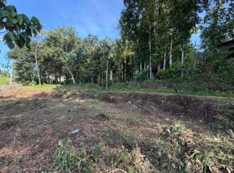 Residential Land for Sale in Pathanamthitta, Ranni, Makkapuzha