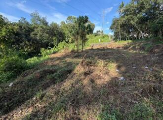 Residential Land for Sale in Pathanamthitta, Ranni, Makkapuzha