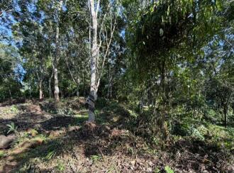 Residential Land for Sale in Pathanamthitta, Ranni, Makkapuzha