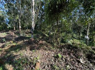 Residential Land for Sale in Pathanamthitta, Ranni, Makkapuzha