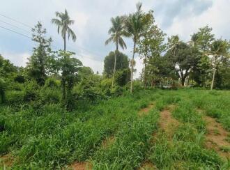 Commercial Land for Sale in Ernakulam, Aluva, Aluva, Vallamkadavu bridge, Parappuram.