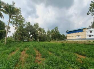 Commercial Land for Sale in Ernakulam, Aluva, Aluva, Vallamkadavu bridge, Parappuram.