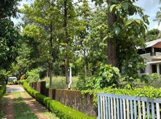 Residential Land for Sale in Thrissur, Thrissur, Cheroor, Vimala College Thrissur