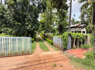 Residential Land for Sale in Thrissur, Thrissur, Cheroor, Vimala College Thrissur