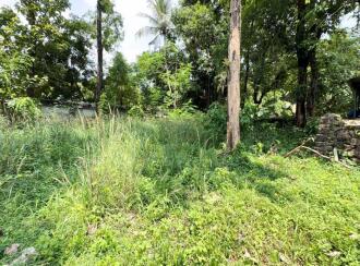 Residential Land for Sale in Thrissur, Thrissur, Cheroor, Vimala College Thrissur
