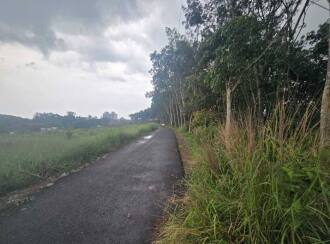 Residential Land for Sale in Ernakulam, Chottanikkara, Thiruvaniyoor, Near global public school and refinary school