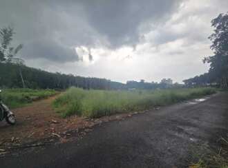 Residential Land for Sale in Ernakulam, Chottanikkara, Thiruvaniyoor, Near global public school and refinary school