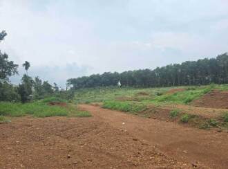 Residential Land for Sale in Ernakulam, Chottanikkara, Thiruvaniyoor, Near global public school and refinary school