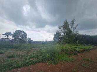 Residential Land for Sale in Ernakulam, Chottanikkara, Thiruvaniyoor, Near global public school and refinary school